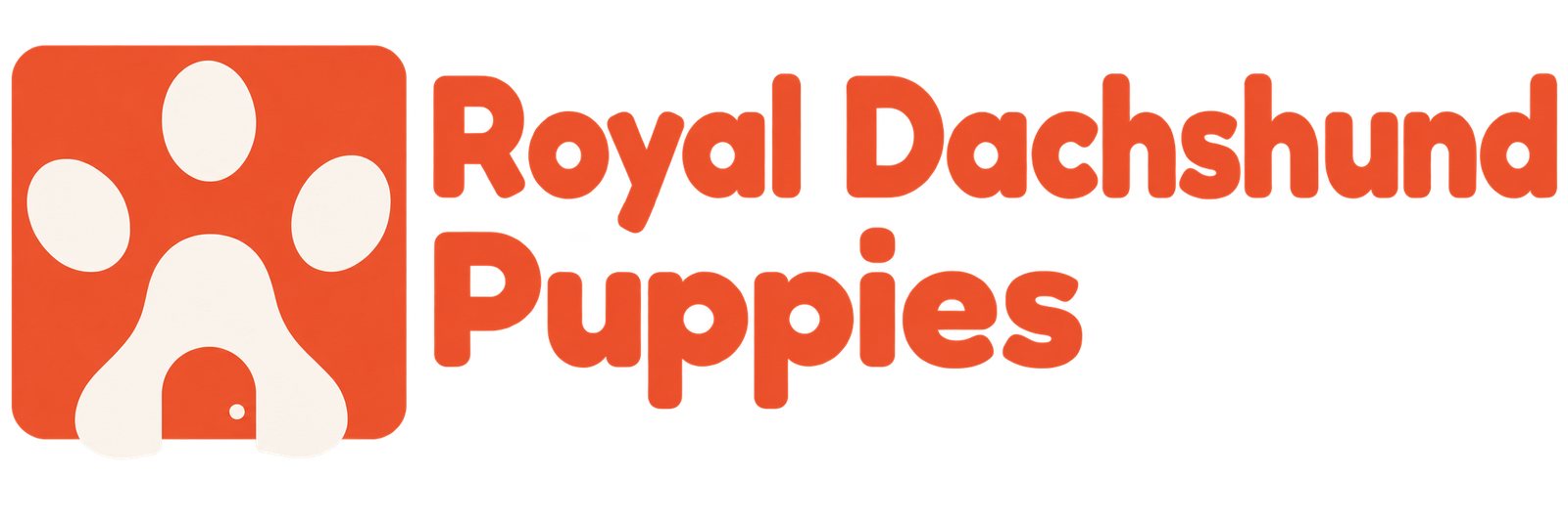 Royal Dachshund Puppies