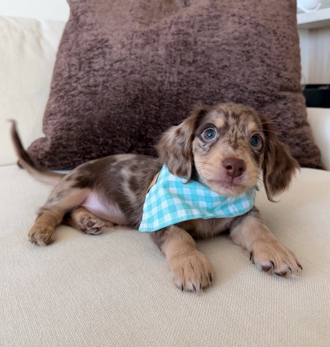 Benny