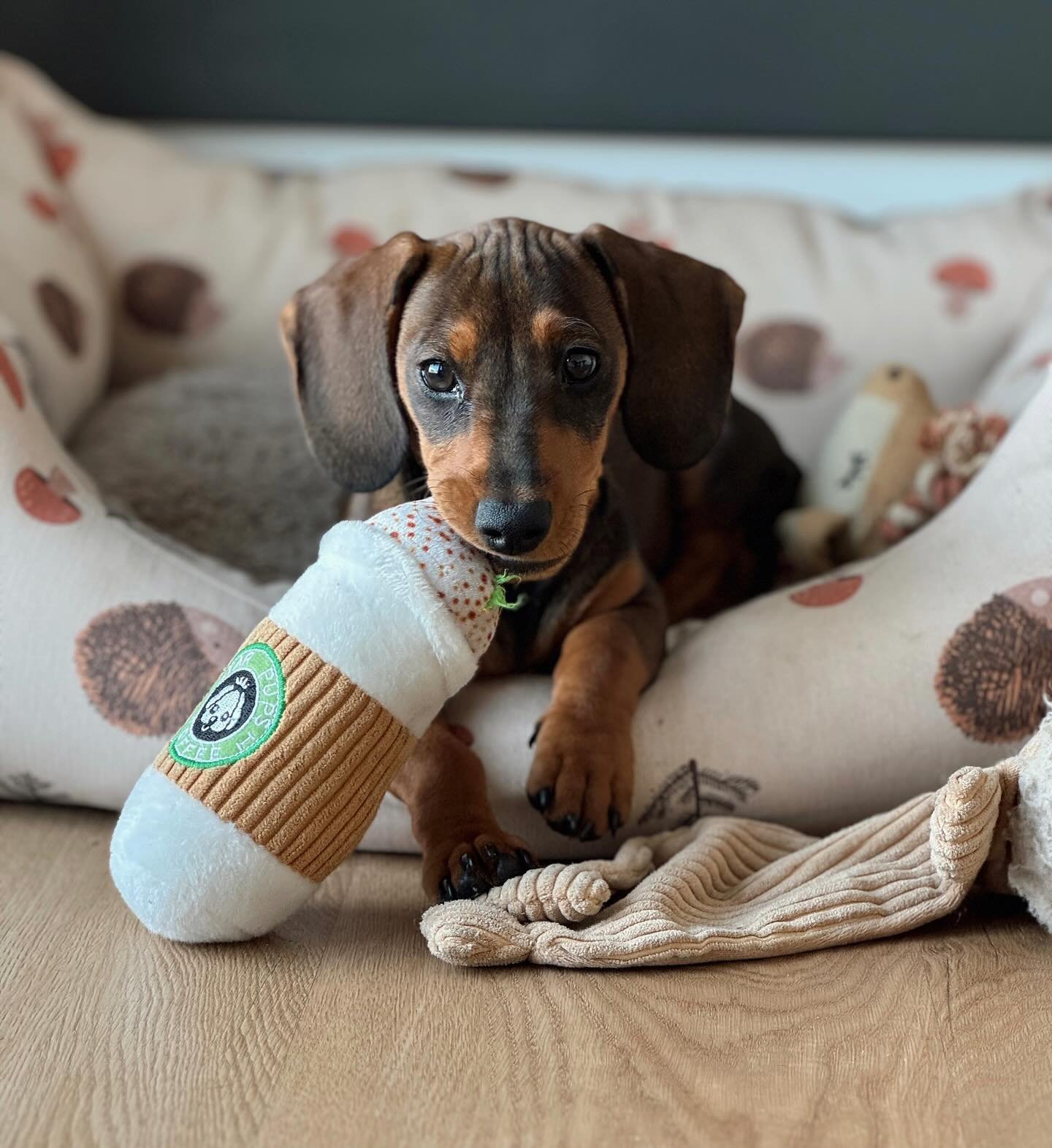 Charlie