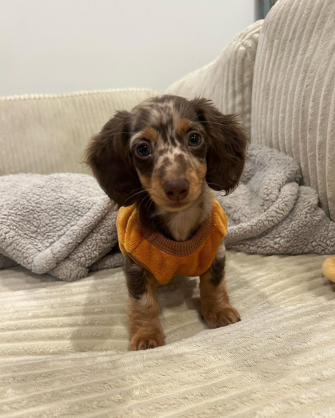 Rosie
